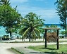 어? 해외 여행 비행기에 100명 이상이 탔다.. 술렁