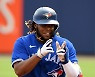 AL MVP 게레로 주니어가 유리?.."오타니가 앞지르려 애쓰고 있다"