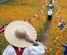 가을을 보다