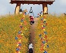 가을을 카메라에 담다