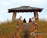 가을을 담다