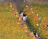 가을을 담다