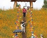가을 산책