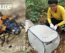 [포토] '곤충에 의한 고사목 분해' 네이처 게재