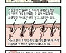 [신문과 놀자!/고독이의 토막상식]계절성 탈모 예방법