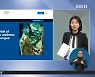 <글로벌 pick> 달나라 여행에 들뜬 '아프리카'