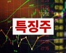 [특징주] 에이아이비트, 상폐 전 정리매매 첫 날 '폭락'