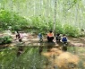 가을, 눈에 띄는 순백의 세상, 원대리 자작나무숲 보물찾기