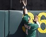 USA BASEBALL MLB