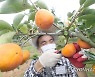 "청년농업인 후원합니다"..창원시·농업단체, 맞춤프로젝트 추진
