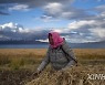 CHINA-TIBET-NAGQU-HIGHLAND BARLEY-HARVEST (CN)