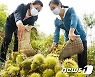 '산열매 확보' 나선 북한 "산을 잘 이용해야 한다" 강조