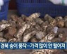 올해 경북 송이 풍작..가격 많이 안 떨어져