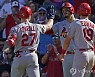 MLB 세인트루이스 13연승 질주..1승만 더하면 구단 타이기록