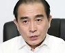 태영호 "北김여정 담화 핵심은 핵보유국 지위..종전 아닌 종속선언될 것"