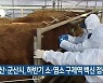 익산·군산시, 하반기 소·염소 구제역 백신 접종