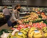 스페인, 슈퍼마켓서 과일·채소 비닐 포장 판매 금지 추진