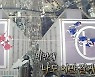 '오징어 게임', '무한도전' 표절 의혹? 유사성 논하기엔 무리 [엑's 이슈]