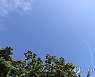 나뭇잎 사이로 보이는 파란 하늘