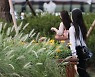 아침·밤 기온은 '뚝' 당분간 일교차 심한 날씨..수요일 전국에 비