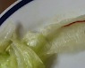 "햄버거 맛이 이상해"..양상추에 붙은 빨간 벌레 '기겁'