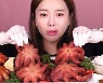 '결혼 발표' 한소영, '배우→665만 유튜버' 변신..월수입 얼마?