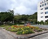 [울산소식] 동구청사 화단 가을꽃 경관 조성 등