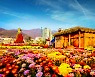 창원시, '마산국화축제' 10월 27일 화려한 막 올린다