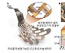 기계연, 뱀 비늘처럼 부드럽게 휘고 늘어나는 배터리 개발