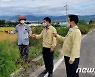 강용구 전북도의원 "벼 병해충 확대 긴급재난지역 선포해야"