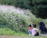 갈대숲 바라보는 모녀