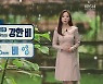 [날씨] 대전·세종·충남 내일 새벽부터 '굵은 비' 시간당 20-30mm