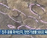 진주 공룡 화석산지, 천연기념물 566호 확정