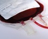 헌혈했는데 뒤늦게 코로나 확진..334명 중 44%는 이미 수혈