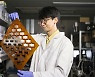 S. Korea develops pliable battery for flexible robots, devices