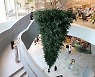 From tree to Hockney