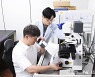 생명연 '초소형 크리스퍼' 기술 개발..유전자치료 새 전기 마련