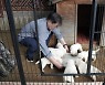 文 대통령 "개 식용 금지 신중하게 검토할 때 됐다"
