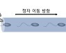 송사리 수정현상 착안해 우수 생식세포 선별기법 개발