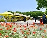 장성군, 황룡강 노란꽃장터 '10월에 만나요'