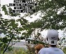 윤지성, 밥알들이 선물해준 윤지성 숲 다녀왔어요..더 열신히 보답할께요[TEN★]