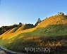 백제와 만나는 안심 언택트 '공주 여행'!