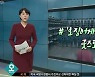 '오징어 게임' 보도한 SBS에 "여성 혐오 표현 사과해라".. 왜?