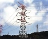 "신재생 송변전 설비비 12조원, 전기요금 인상 요인"