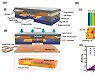 KAIST, 욕창 예방 위한 '무선 배터리-프리 소프트 압력 센서 시스템' 개발