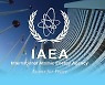 [씨줄날줄] IAEA 의장국/김상연 논설위원