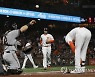 USA BASEBALL MLB