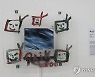 DMZ에 전시된 백남준 '호랑이는 살아 있다'