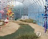 '강원국제트리엔날레21' 내일 개막