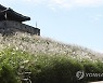 [날씨] 일교차 큰 가을 날씨..남부 오전까지 비